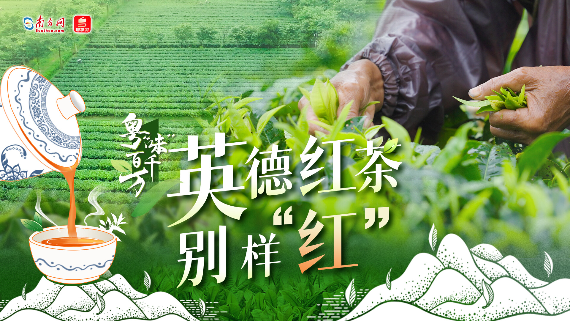 南方网评：一缕红茶香，幸福好滋味